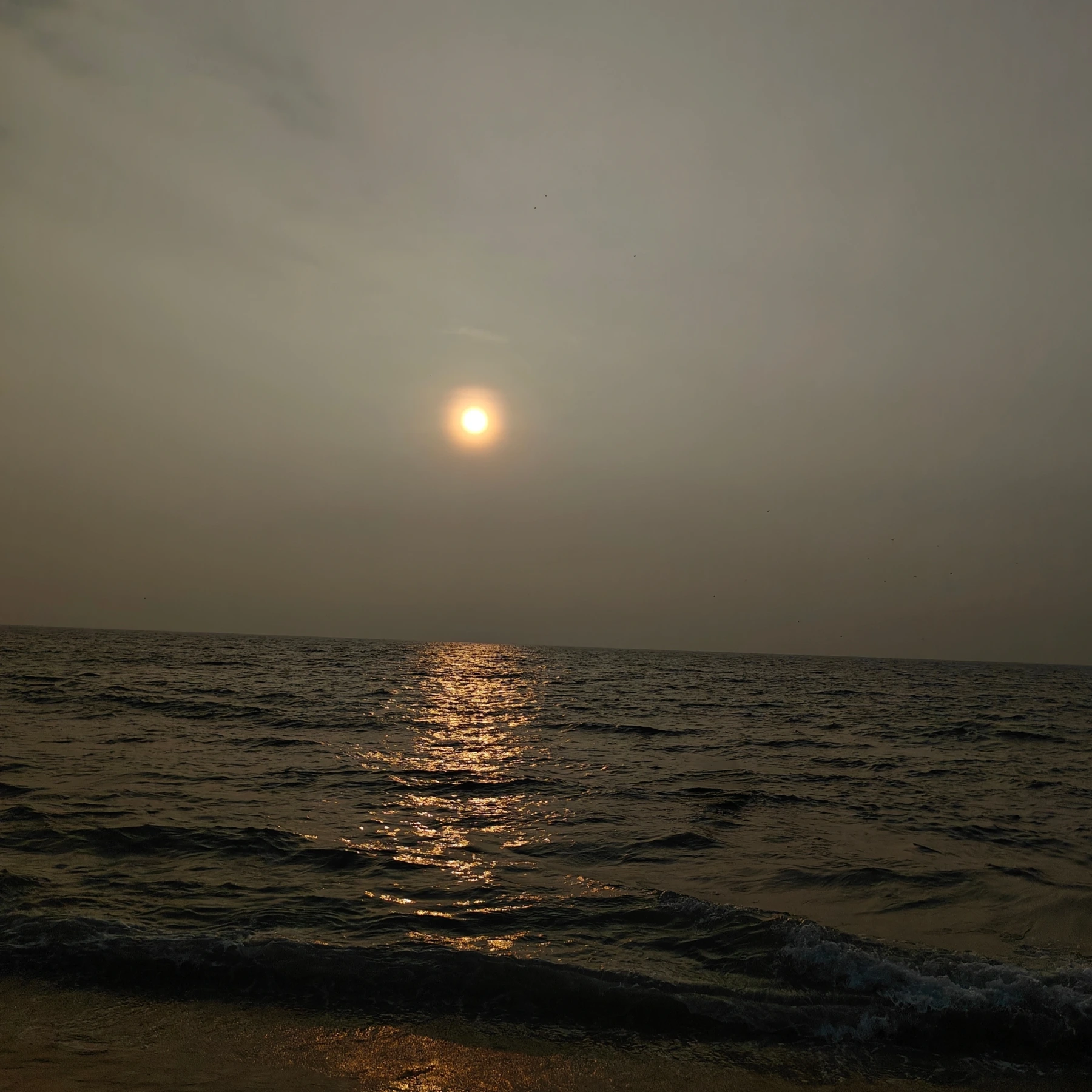 Golden Hour at the Beach