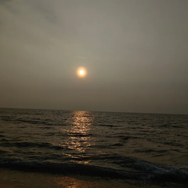 Golden Hour at the Beach